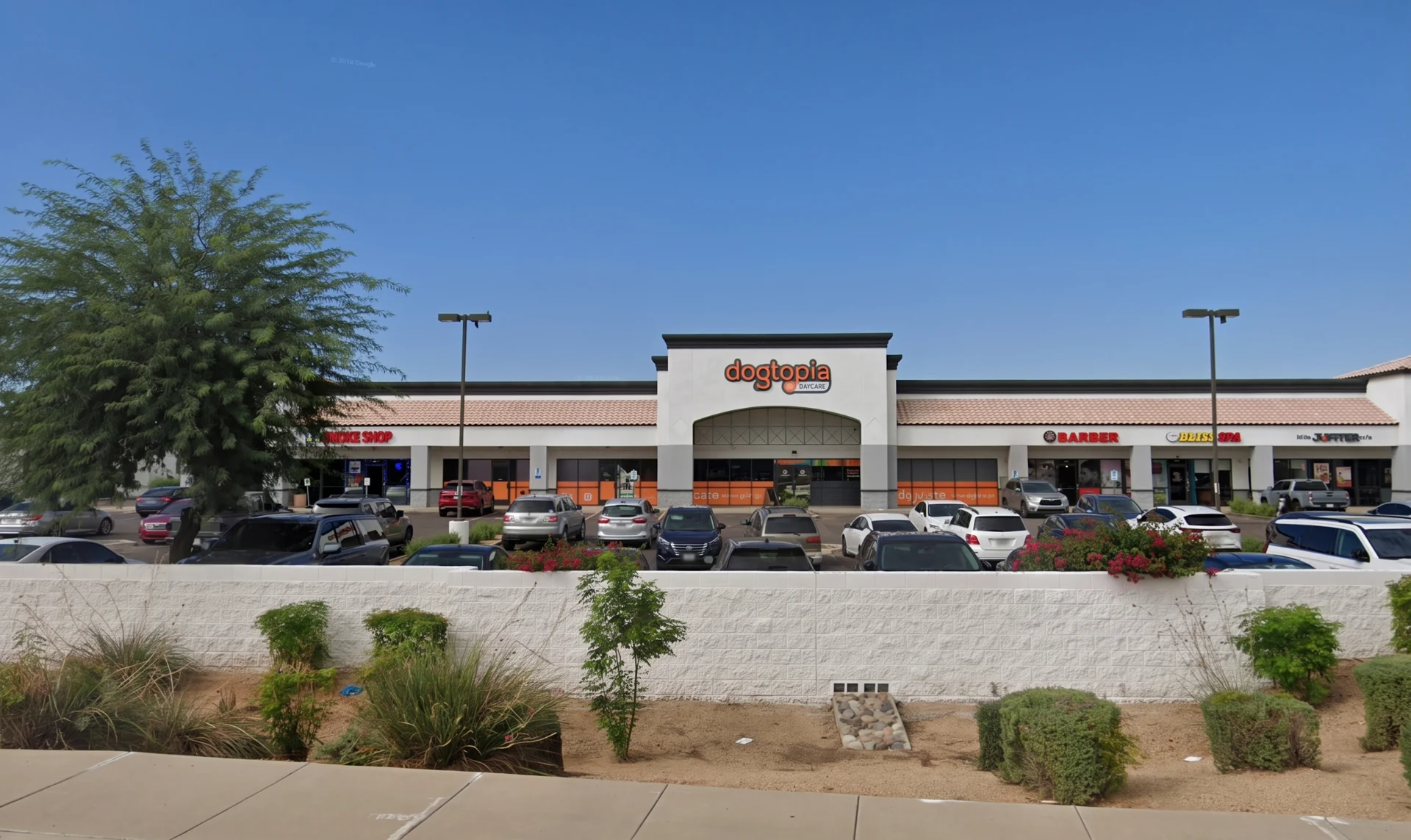 Dogtopia · Gilbert, Arizona